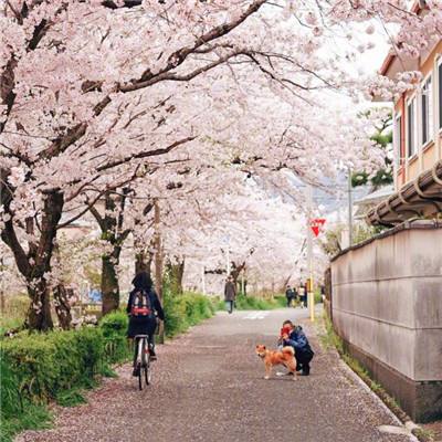 高清：四川14岁女孩钢笔素描展示家乡美 令人惊叹