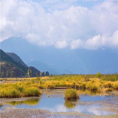 北京农业嘉年华开幕将持续至10月7日